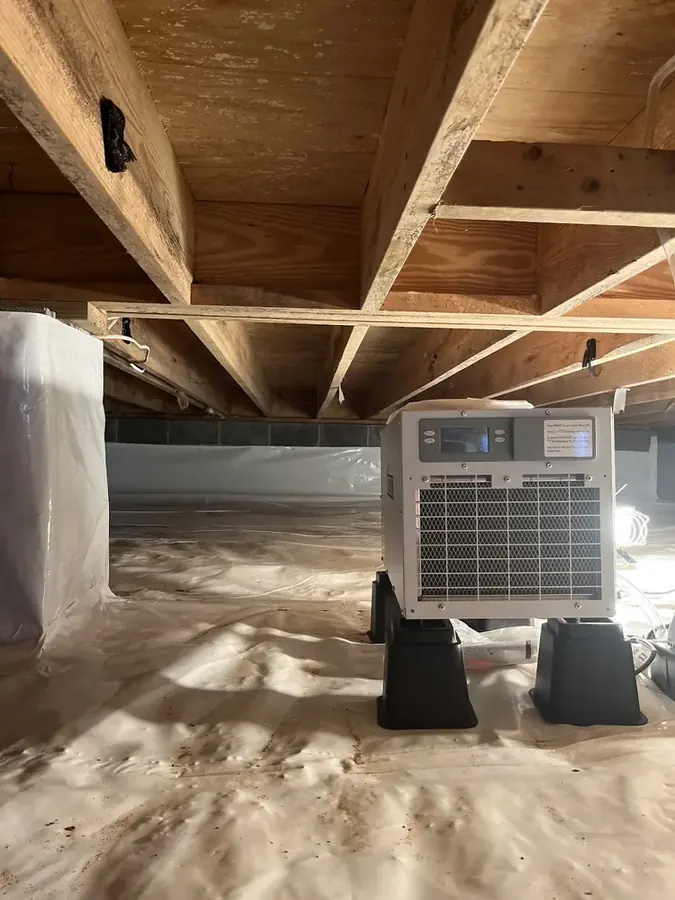 Air movers drying a Powdersville crawl space