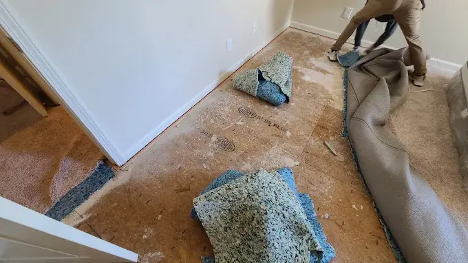 Sump Pump Failure and Basement Water in Easley, SC